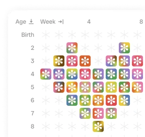 Life view — every week of a lifetime on one grid