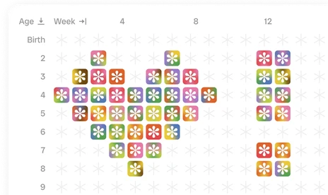 Life view — every week of a lifetime on one grid
